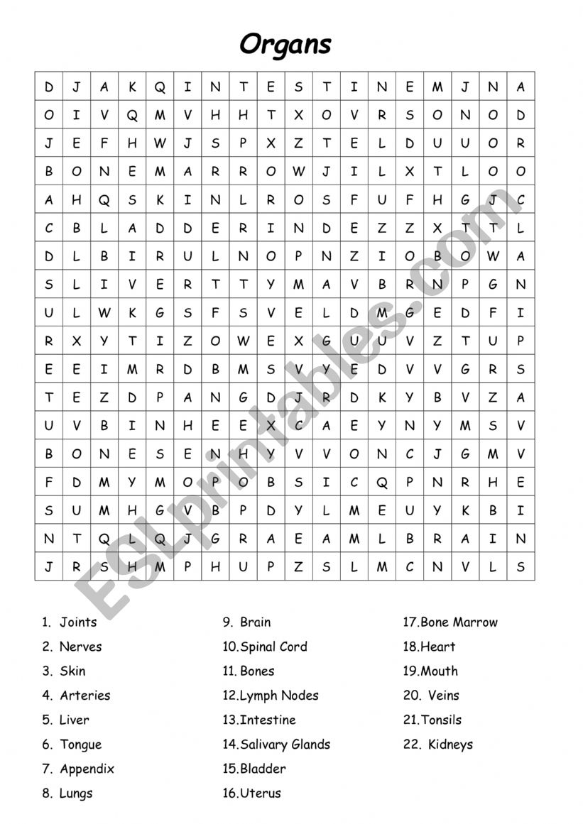 find the words Environment  worksheet