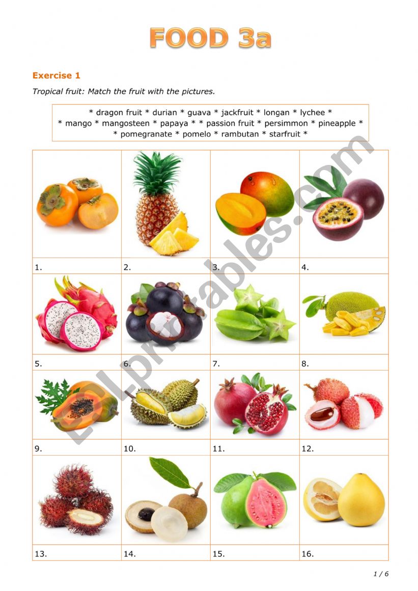 Food 3a worksheet