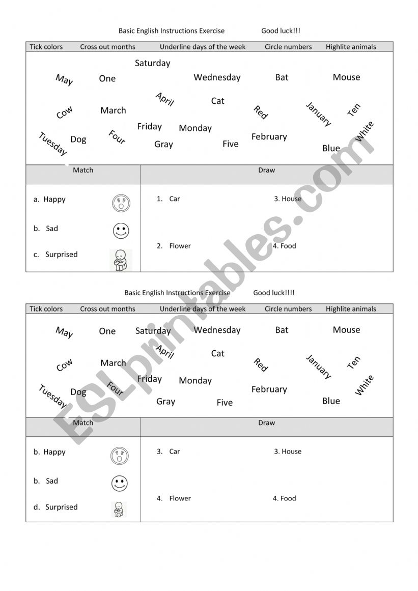 Basic English Instructions Exercise