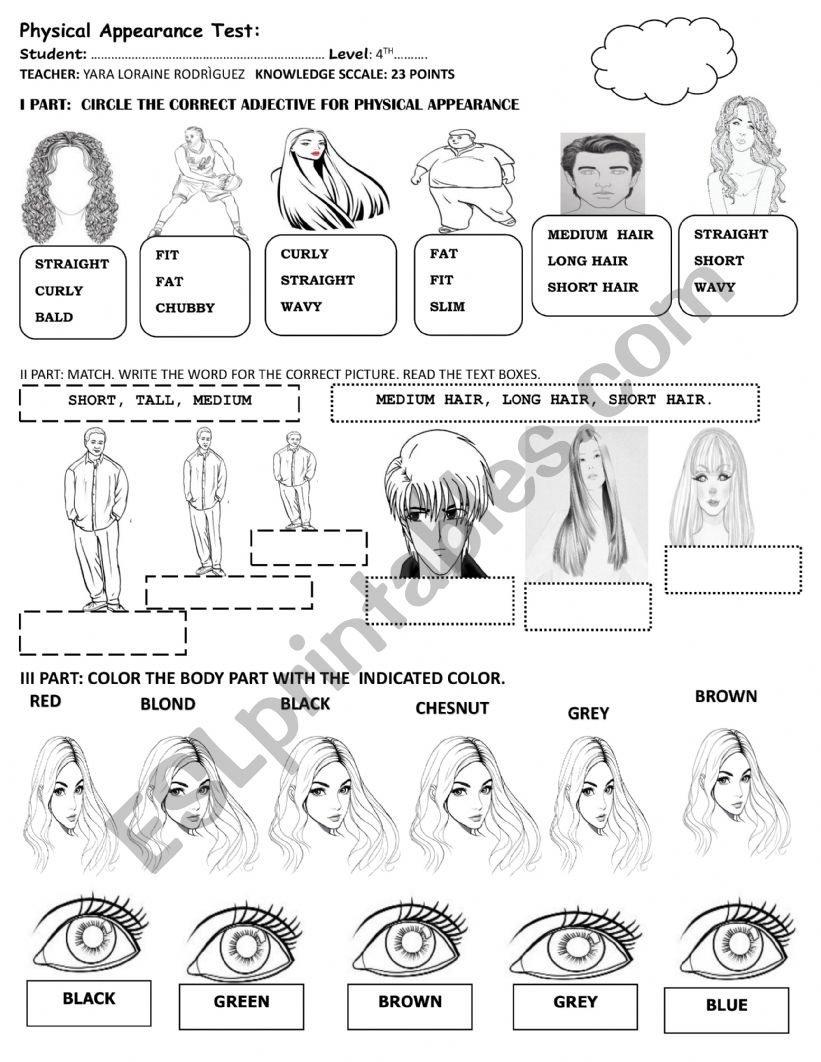 PHYSICAL DESCRIPTION TEST  worksheet