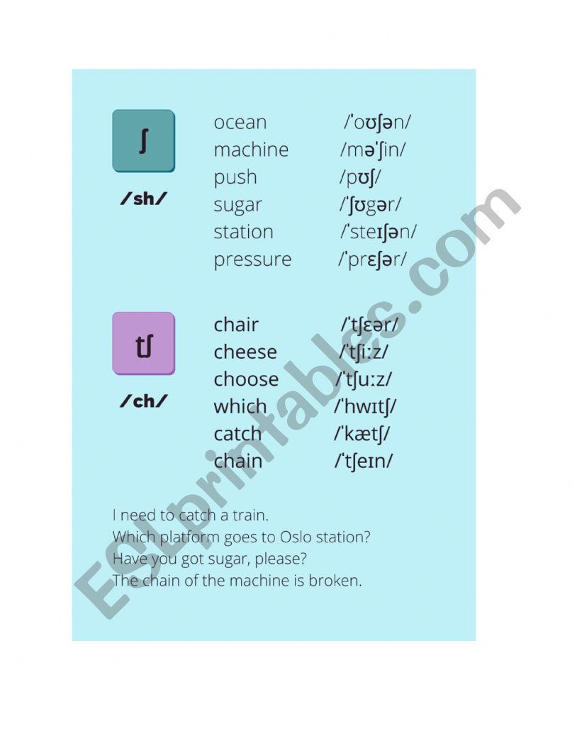 Pronunciation Practice worksheet