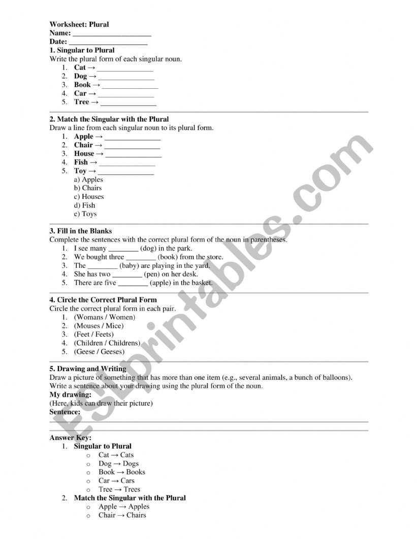 plural  worksheet