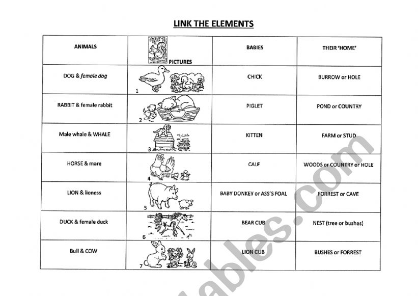 Animals + babies + habitats worksheet