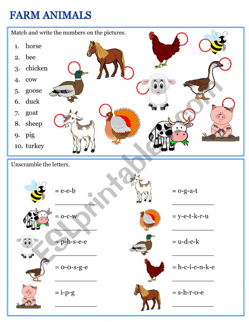 Farm animals worksheet