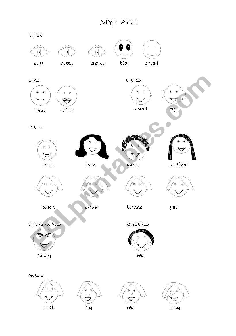 My Face Description ESL Worksheet By Totalka