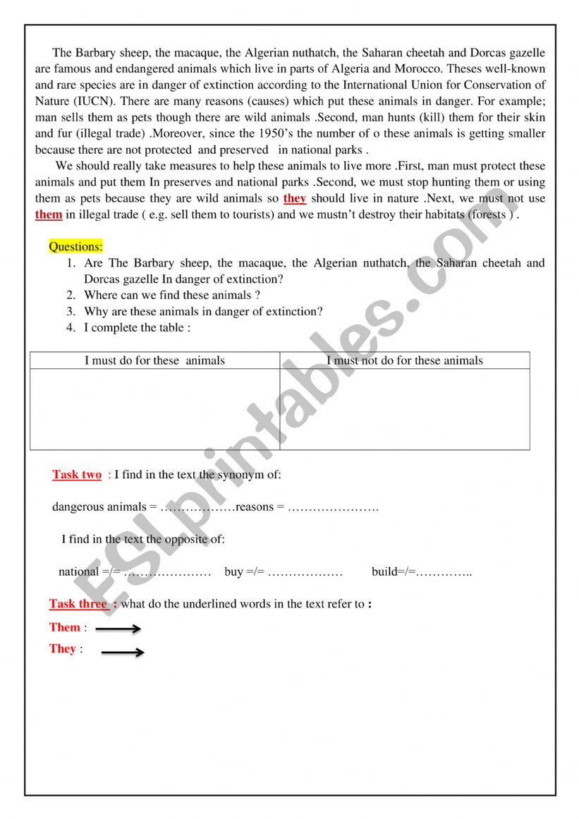 sheep worksheet