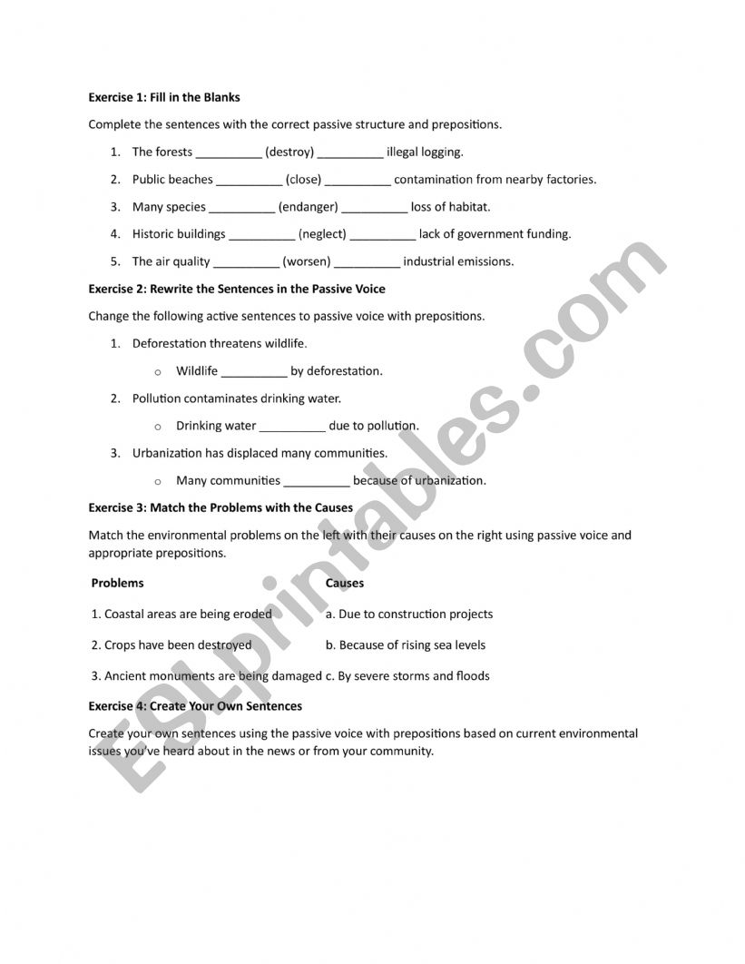 Passive Sentences Worksheet  worksheet