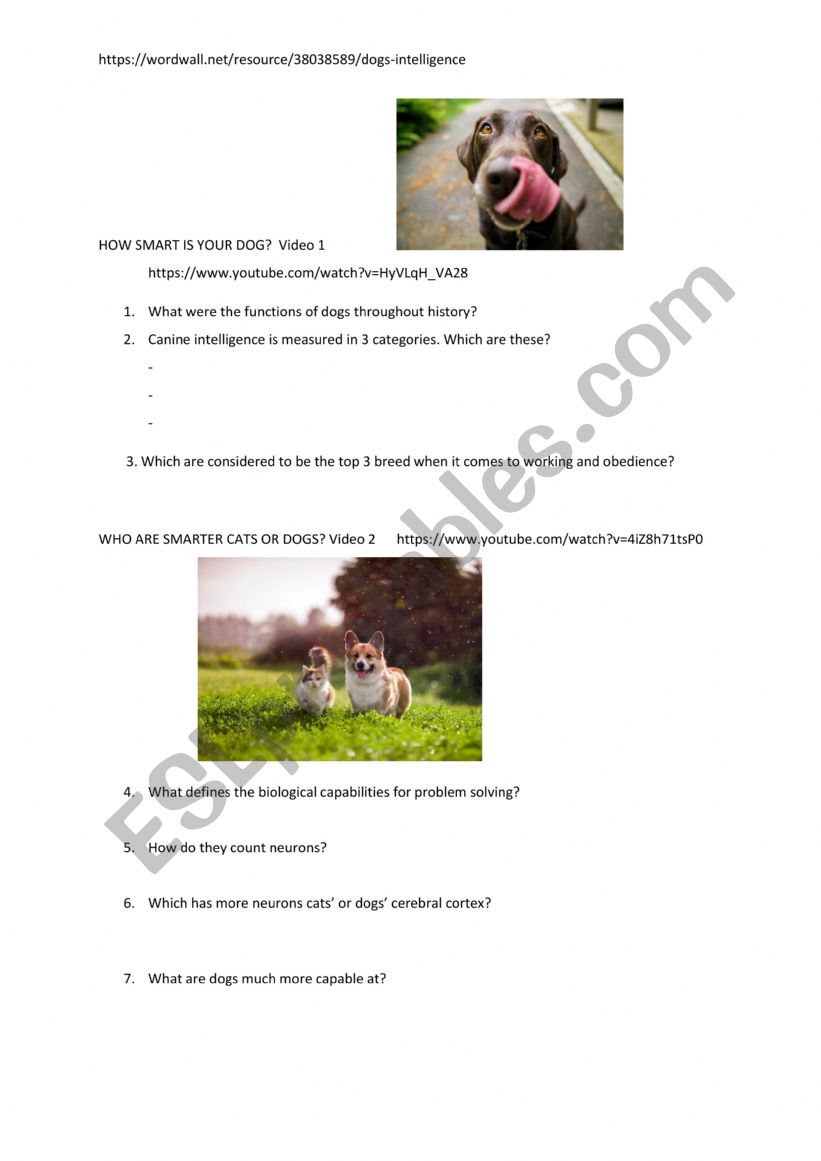 how smaer is your dog worksheet