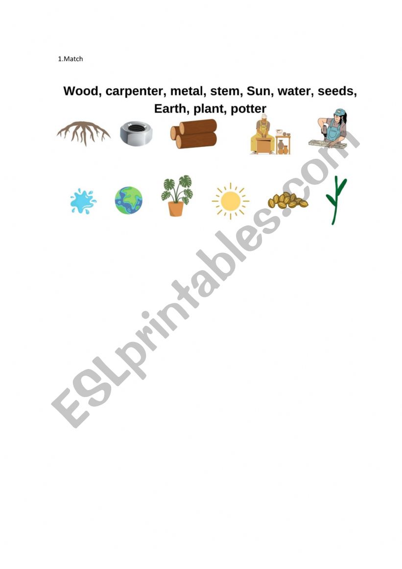 Science year 1 worksheet