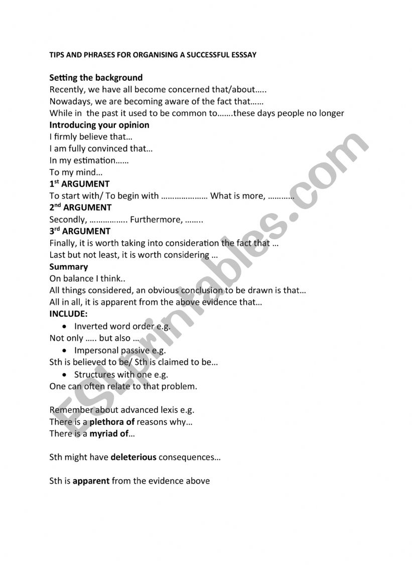 Essay writing key phrases  worksheet