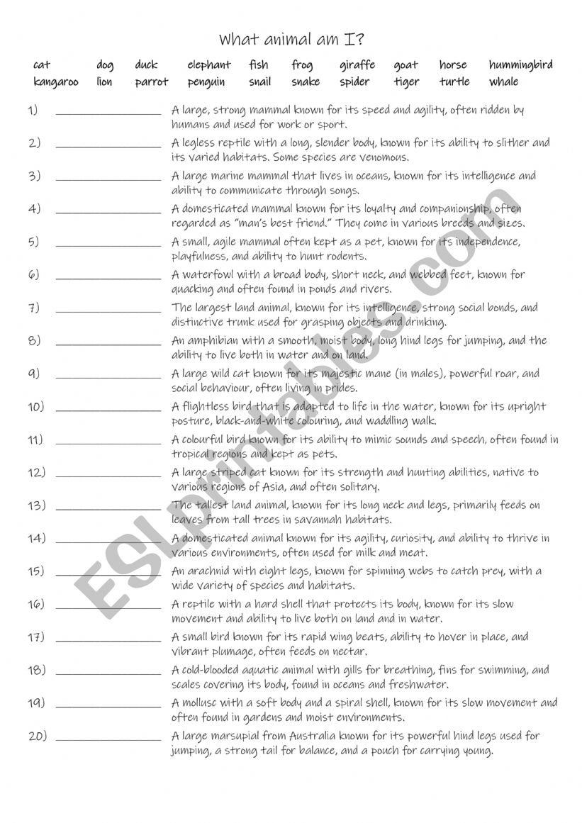 A2-B1 What animal am I? worksheet