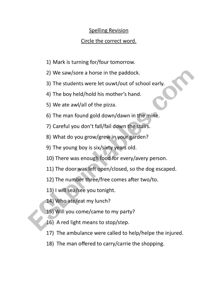 Spelling Revision worksheet