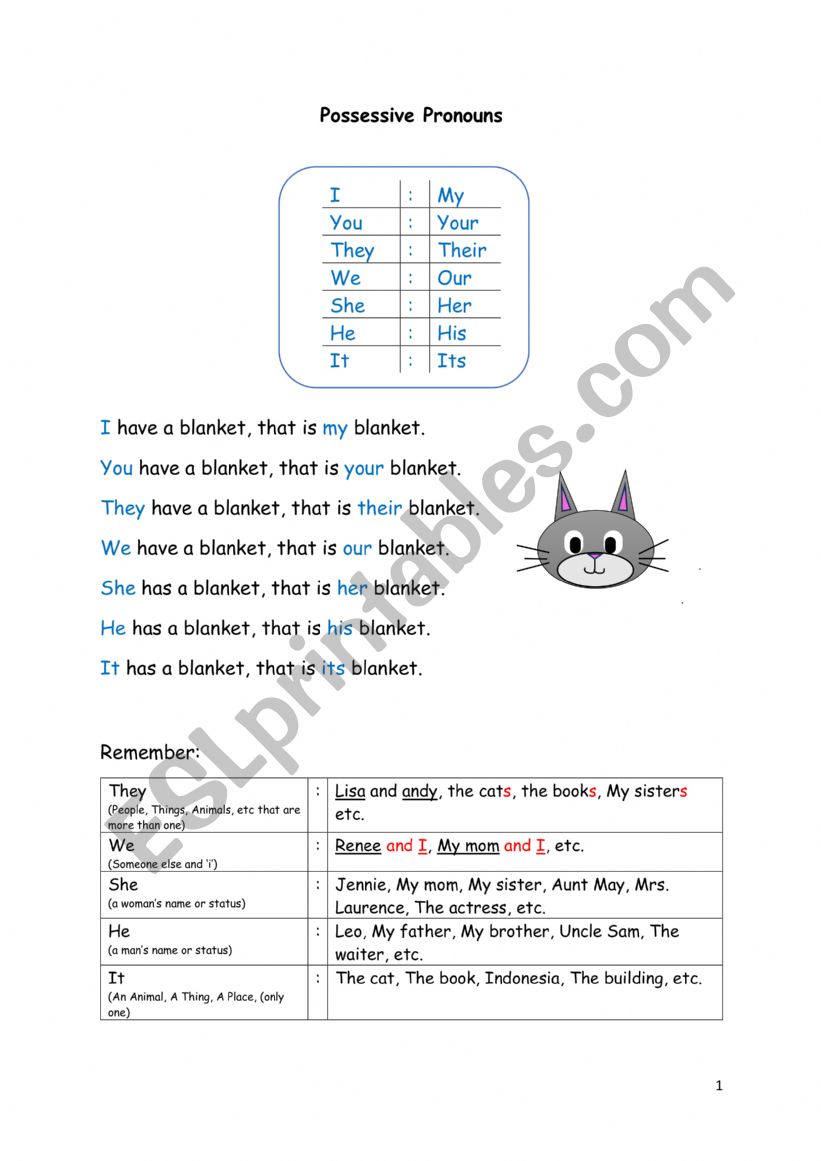 Possessive Pronouns worksheet