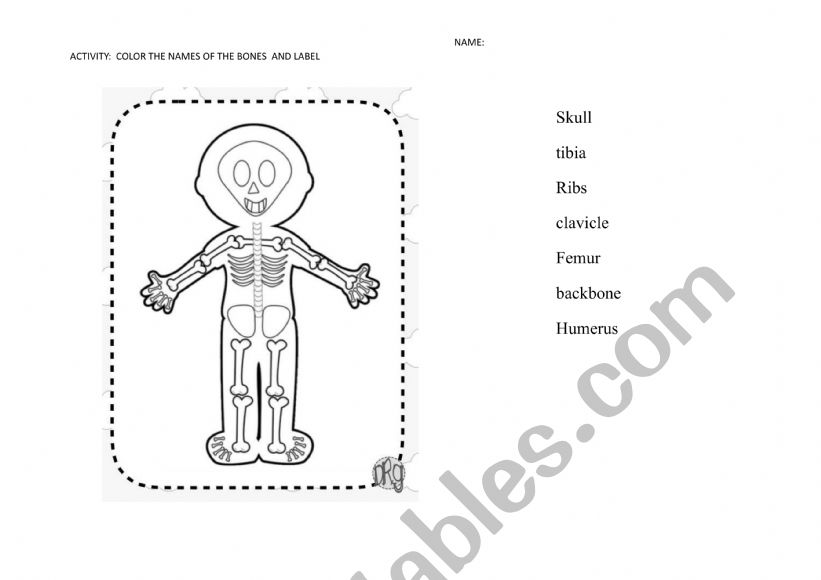 Label The Bones worksheet