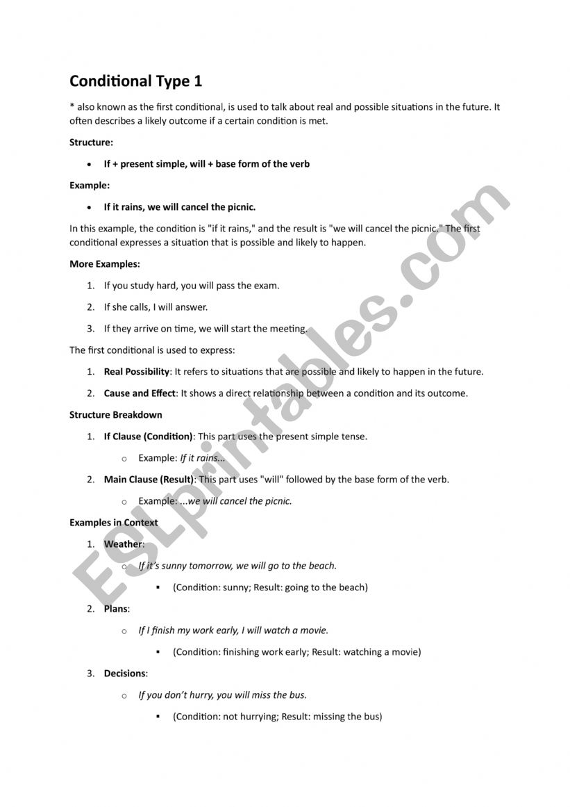 Conditionals Type 1 worksheet