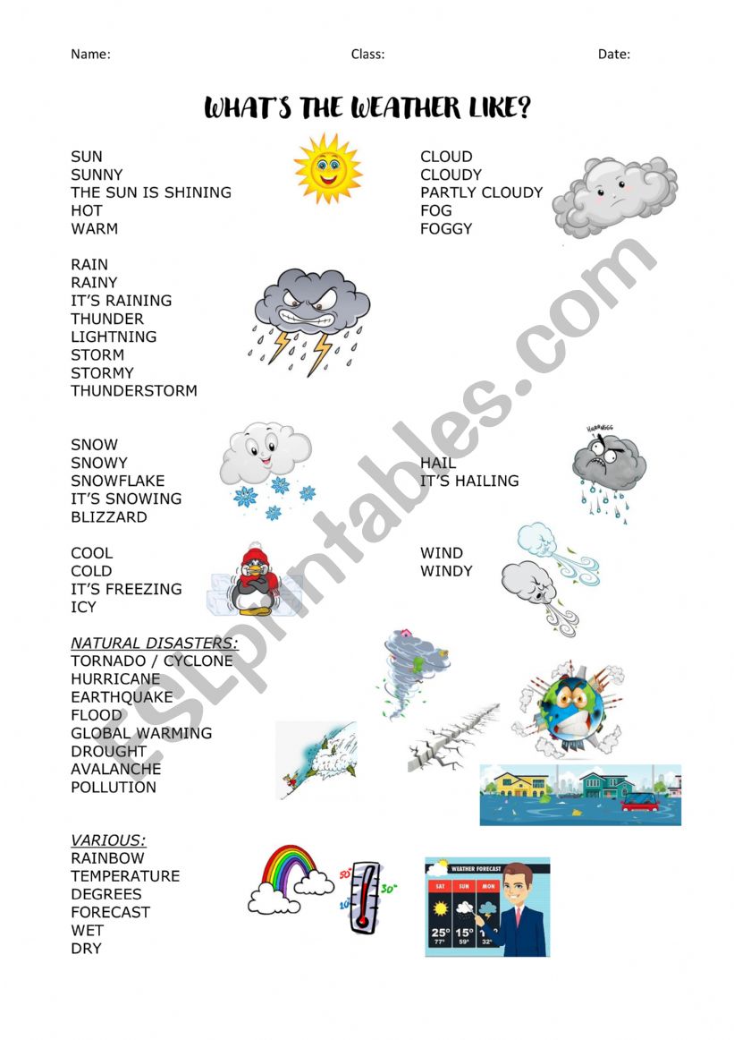 The Weather vocabulary worksheet