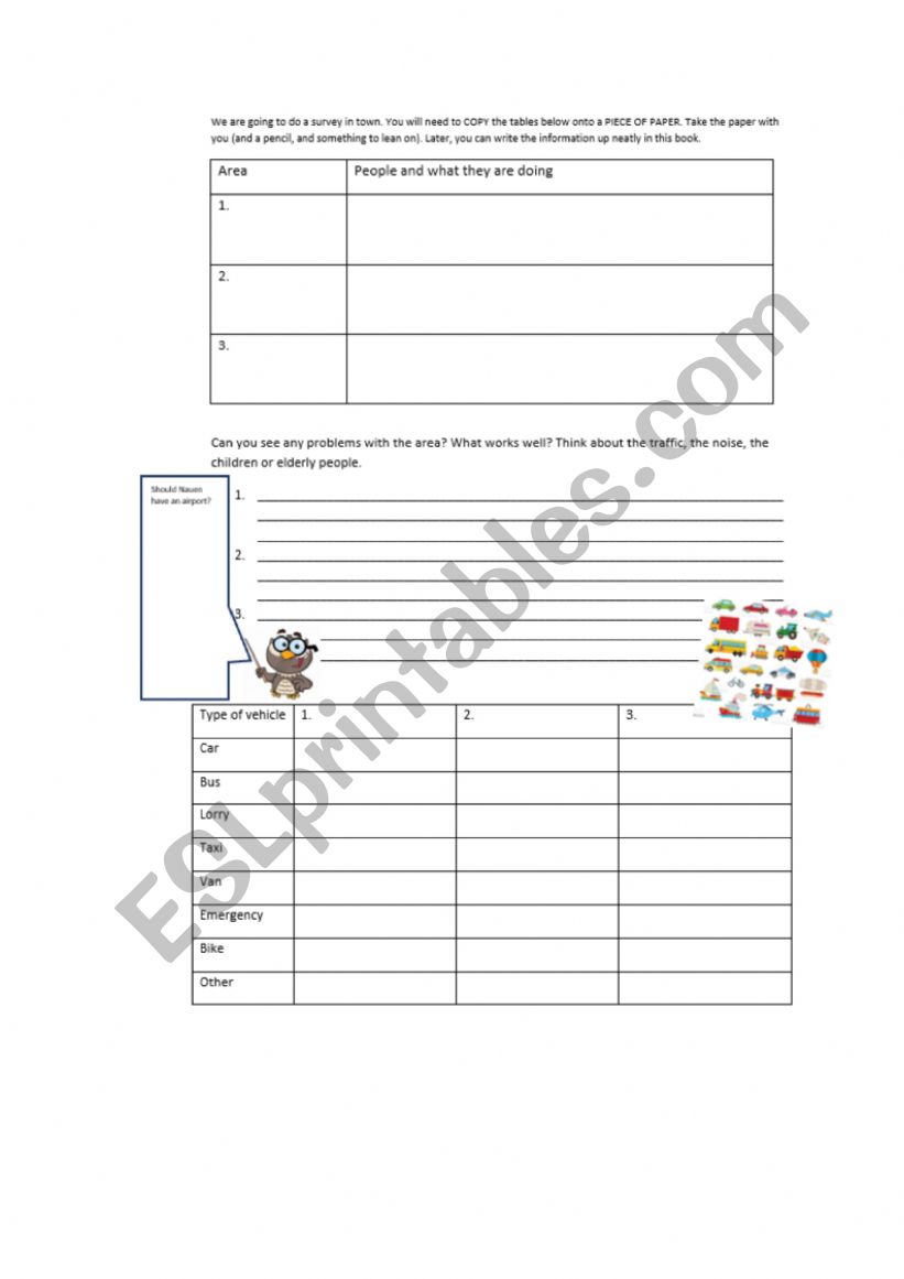 Town Survey worksheet