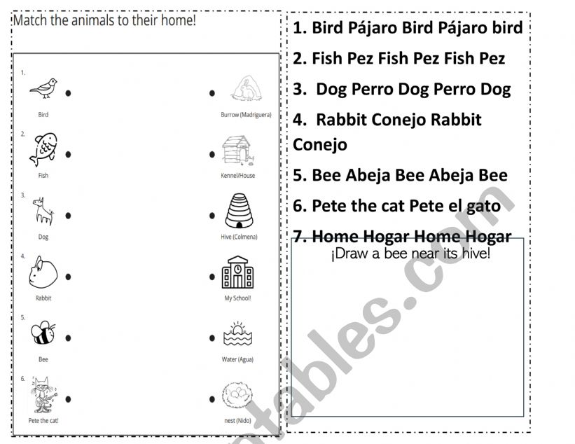 Animals and their homes worksheet