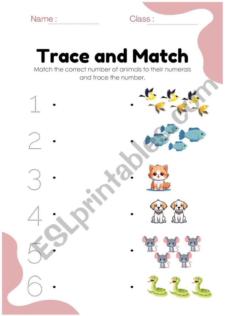 Match Number Exercise worksheet