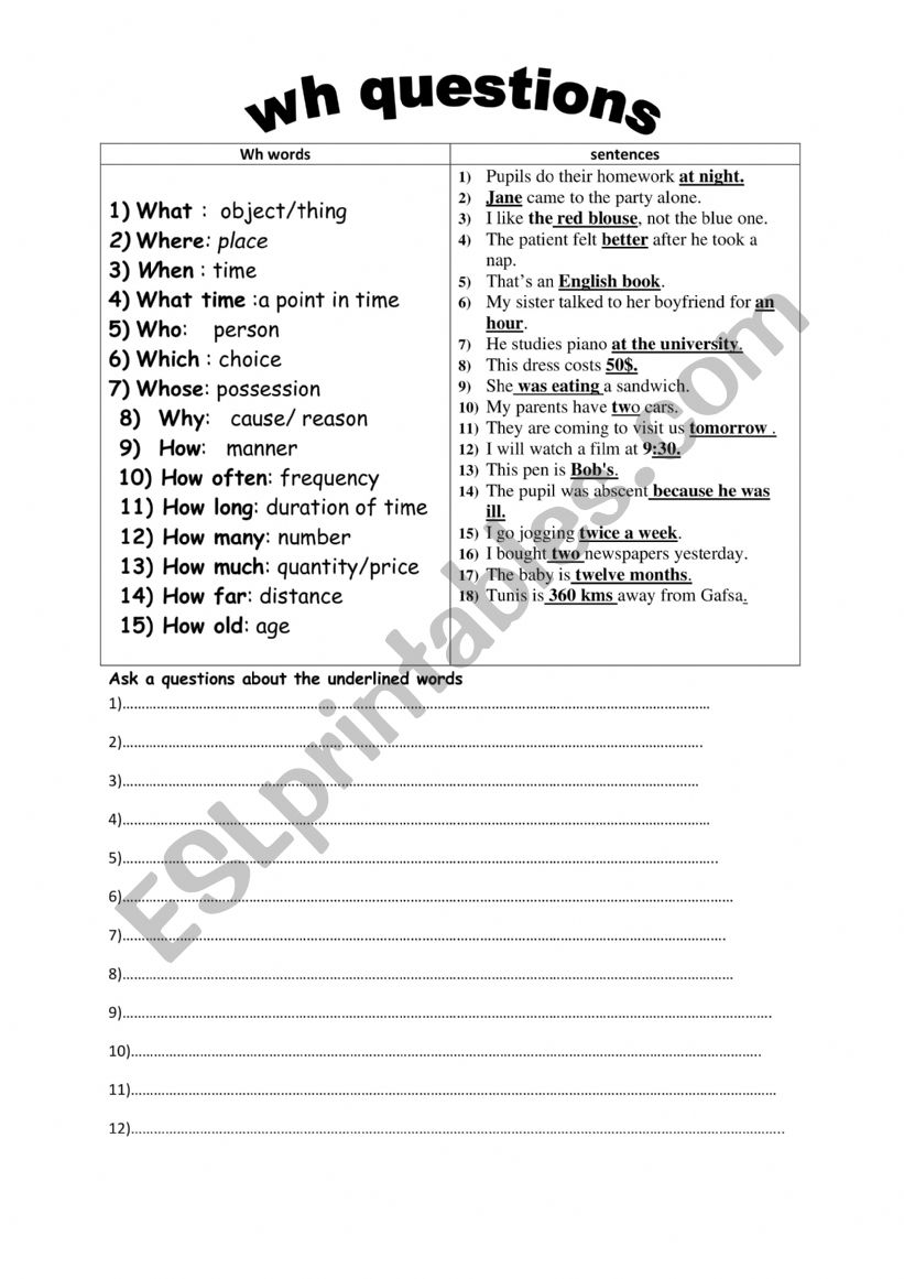 wh questions worksheet