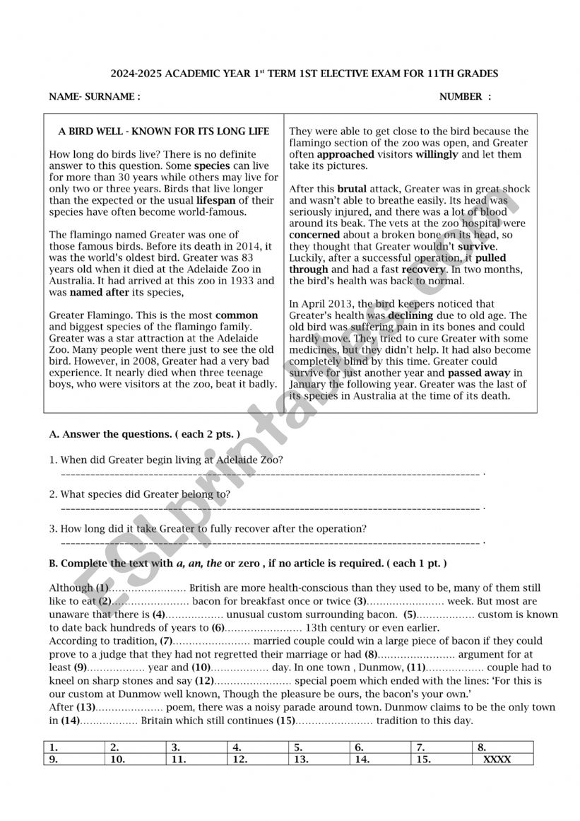 ELECTIVE EXAM FOR 11TH GRADES worksheet