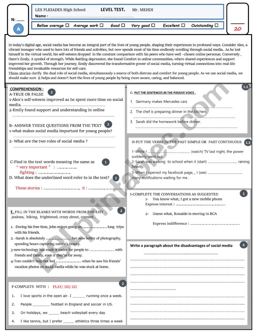 level test  worksheet