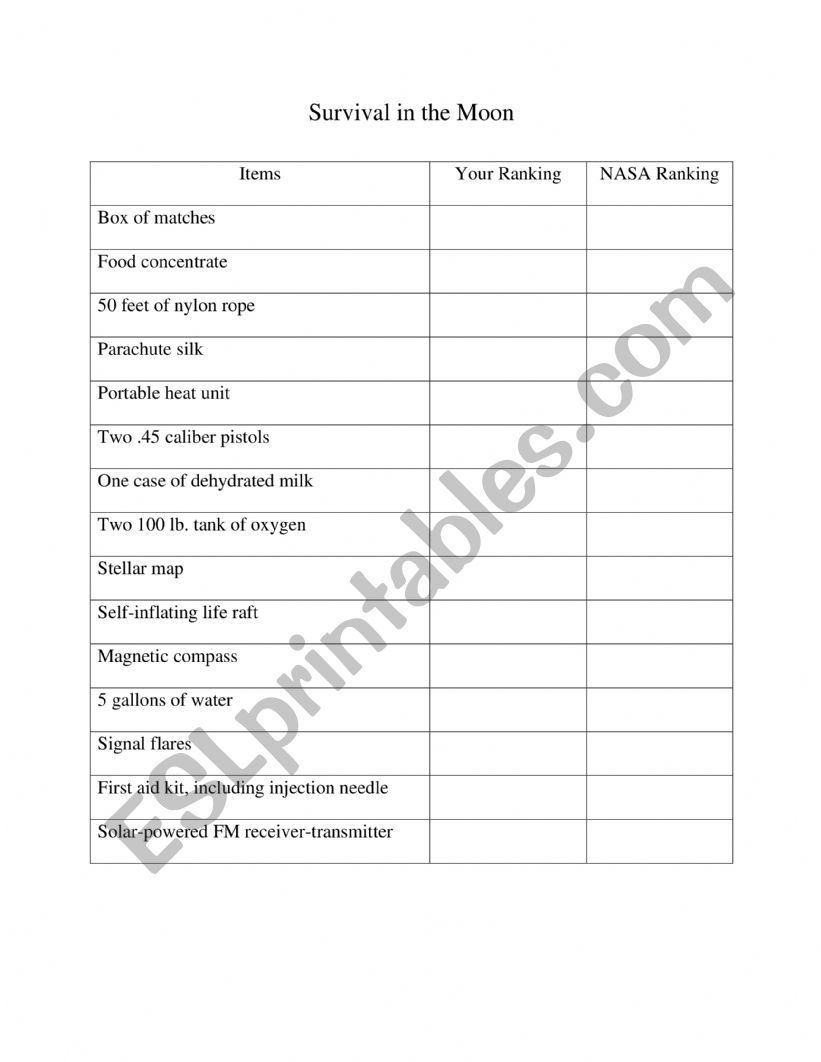 Survival On the Moon worksheet