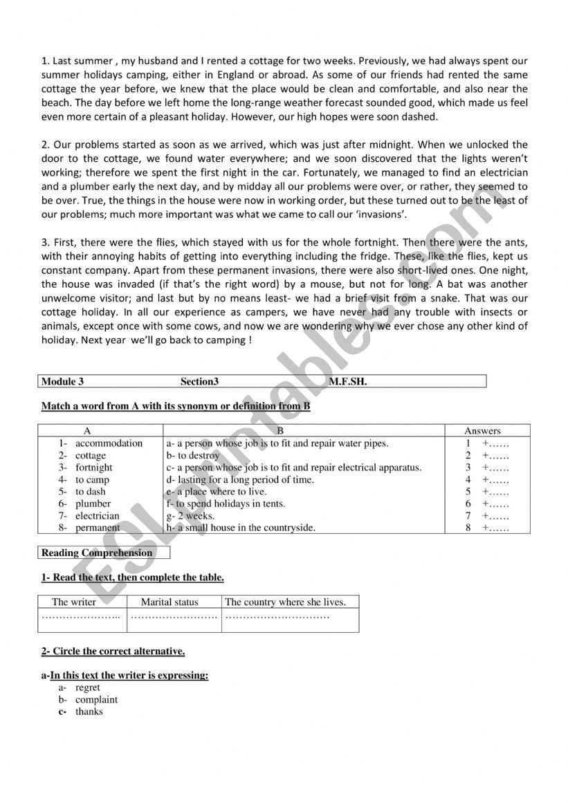 reading comprehension  worksheet