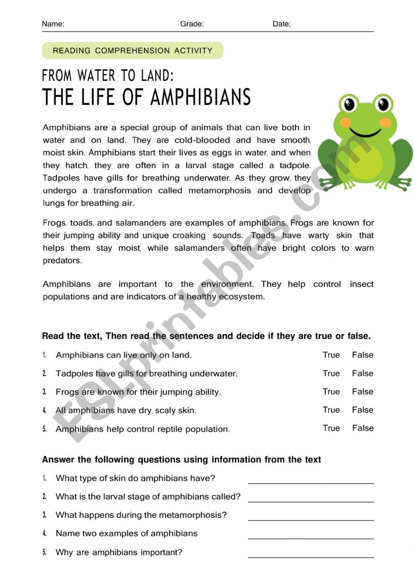 READING COMPREHENSION worksheet