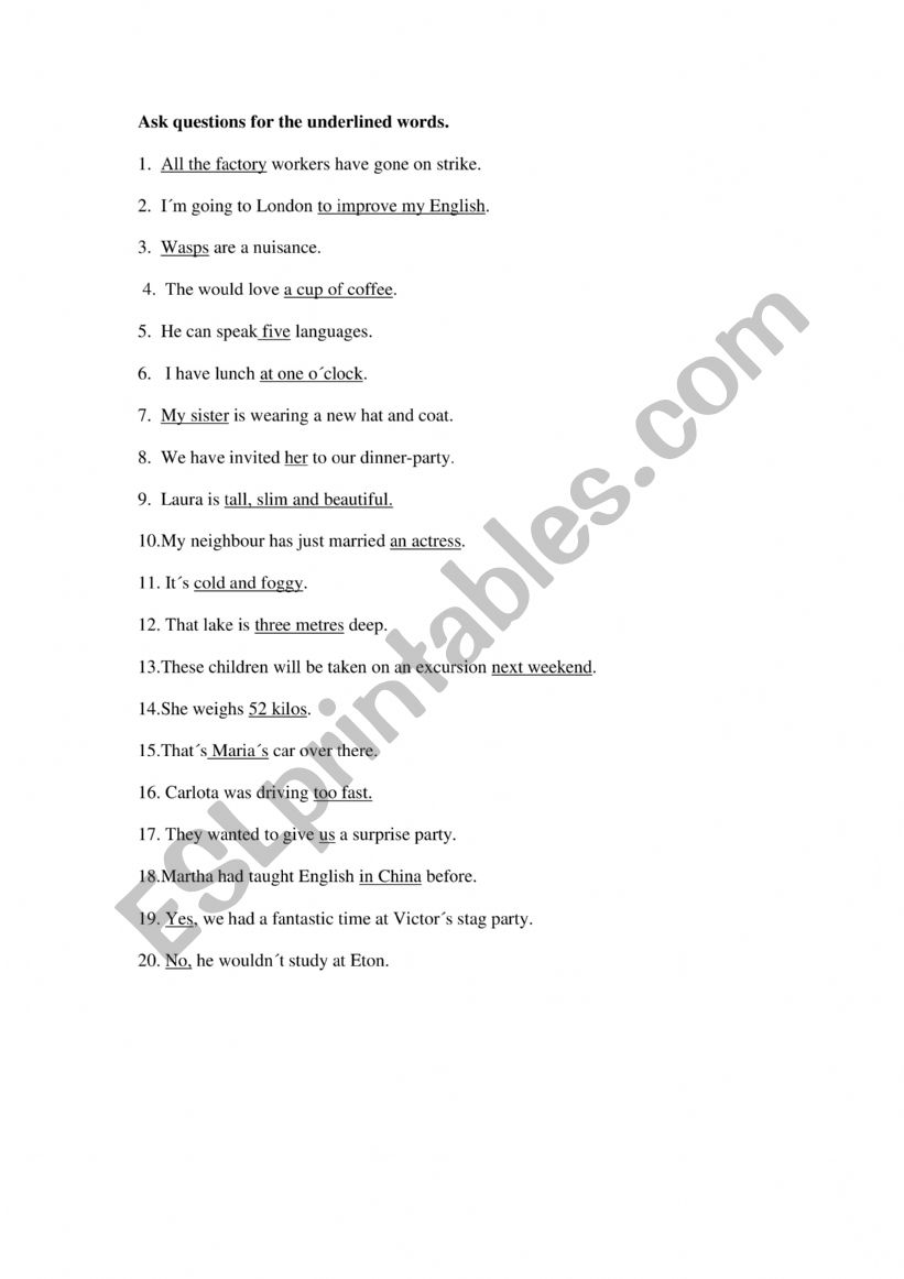 Ask Questions worksheet