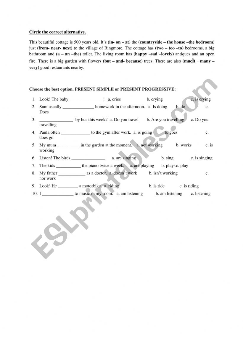 pesent worksheet