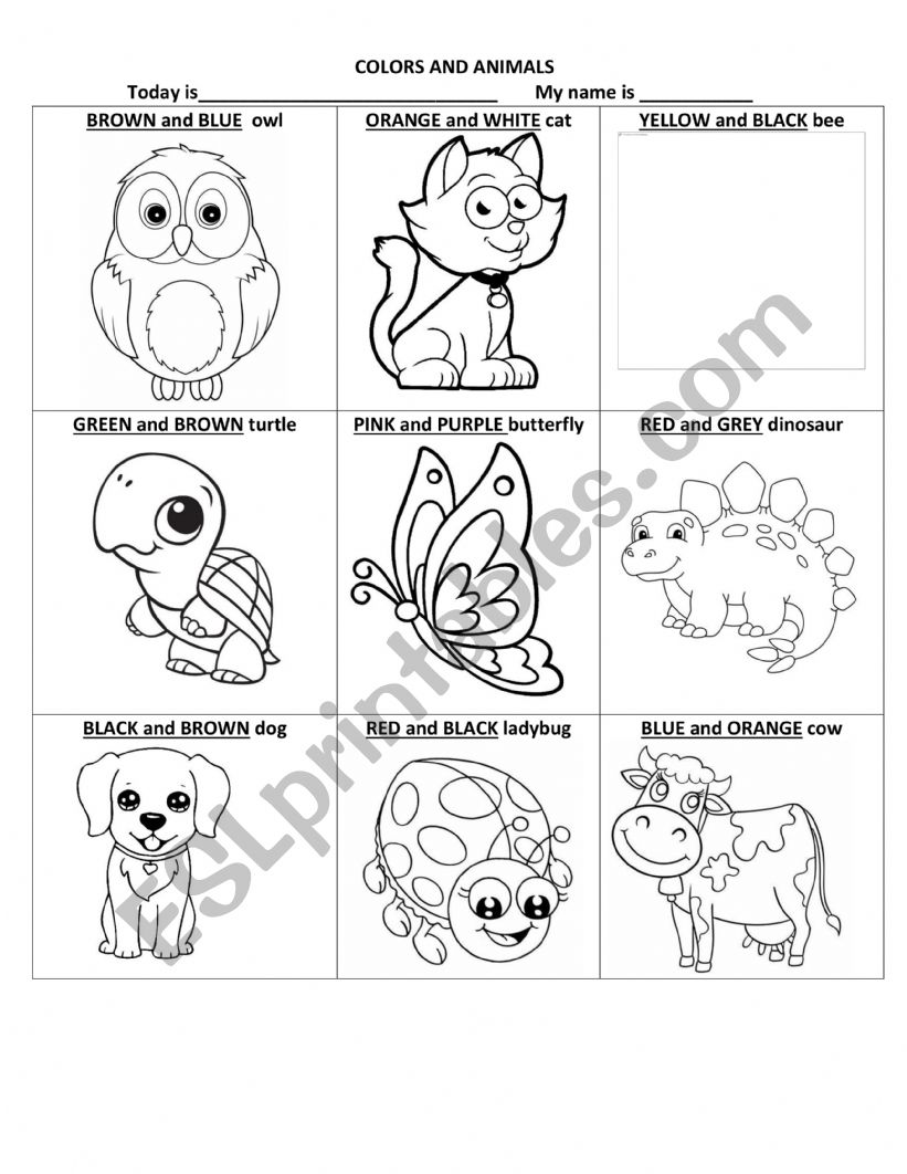 ANIMALS AND COLORS worksheet