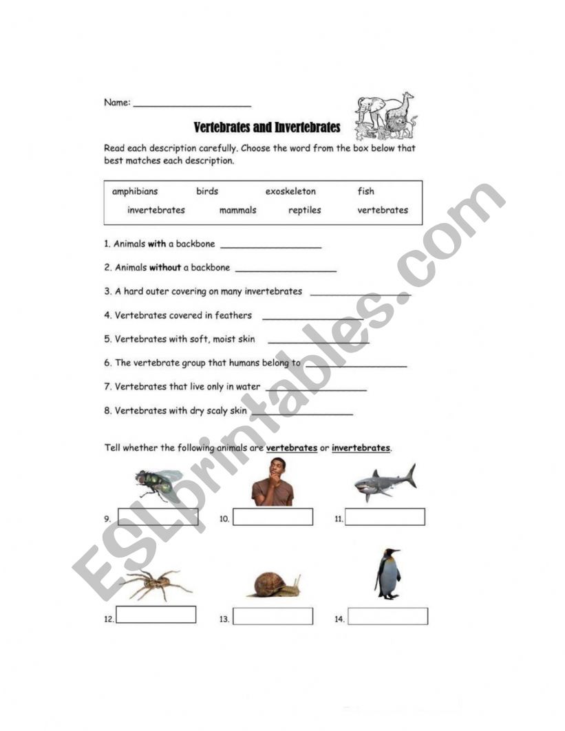 Living organisms exercises worksheet