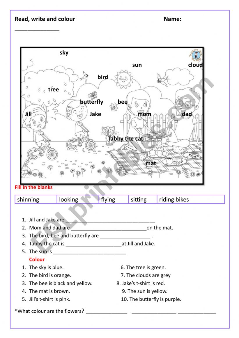 Read, write and colour- The picnic