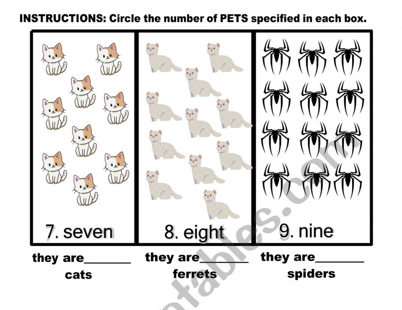 Pets and numbers  worksheet