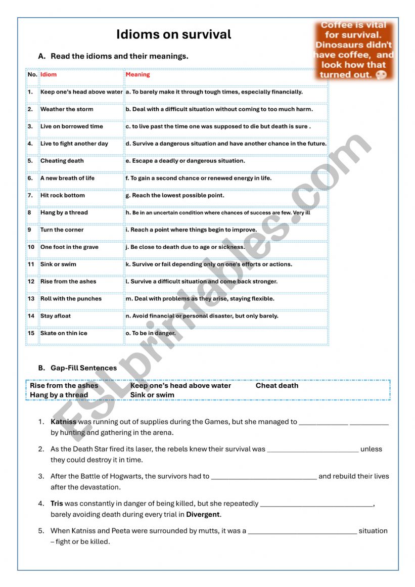 IDIOMS ON SURVIVAL worksheet