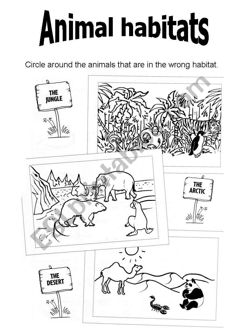 Animal Habitats ESL Worksheet By Virginiajimenez