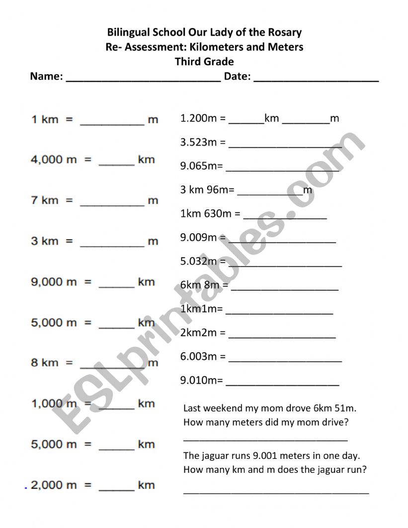 Meters and Kilometers worksheet