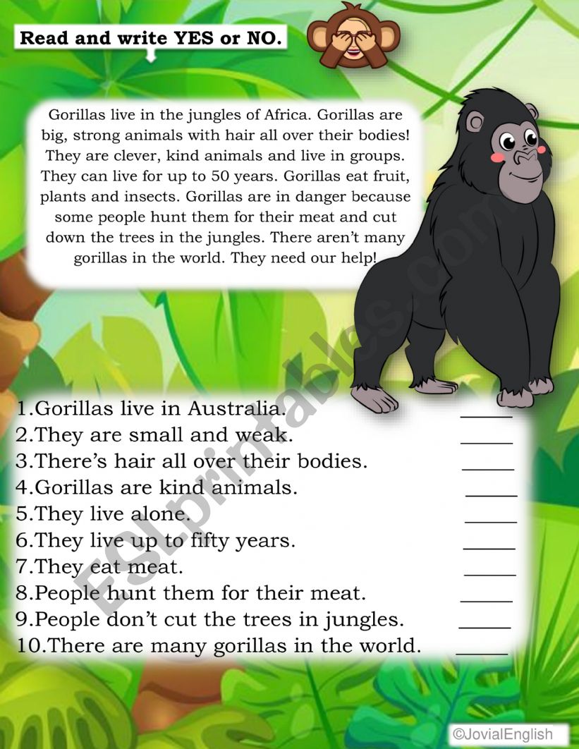 Gorillas worksheet