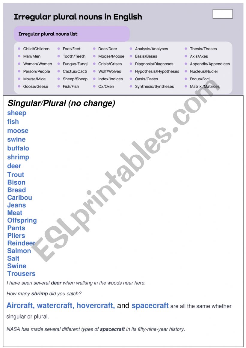 irregular nouns worksheet