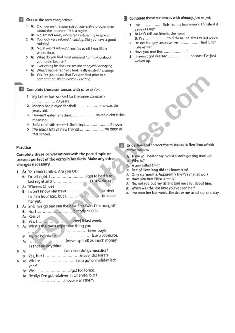 present perfect worksheet