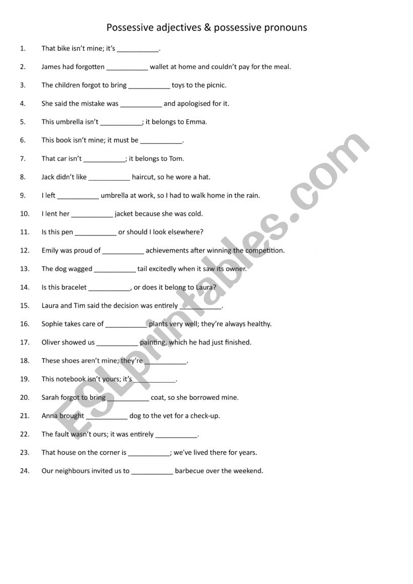 Possessive adjectives & possessive pronouns 1