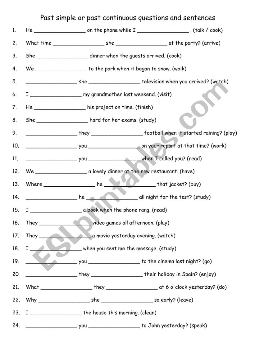 Past simple or past continuous questions and sentences 1