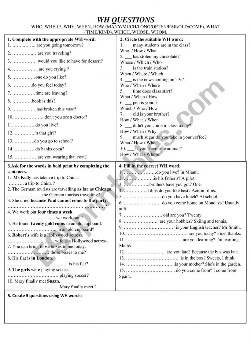 Wh questions practice  worksheet