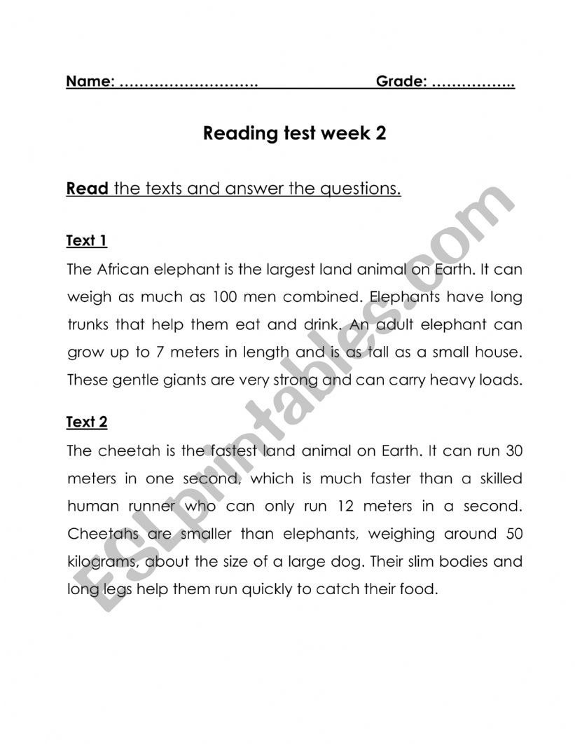 reading comprehension worksheet