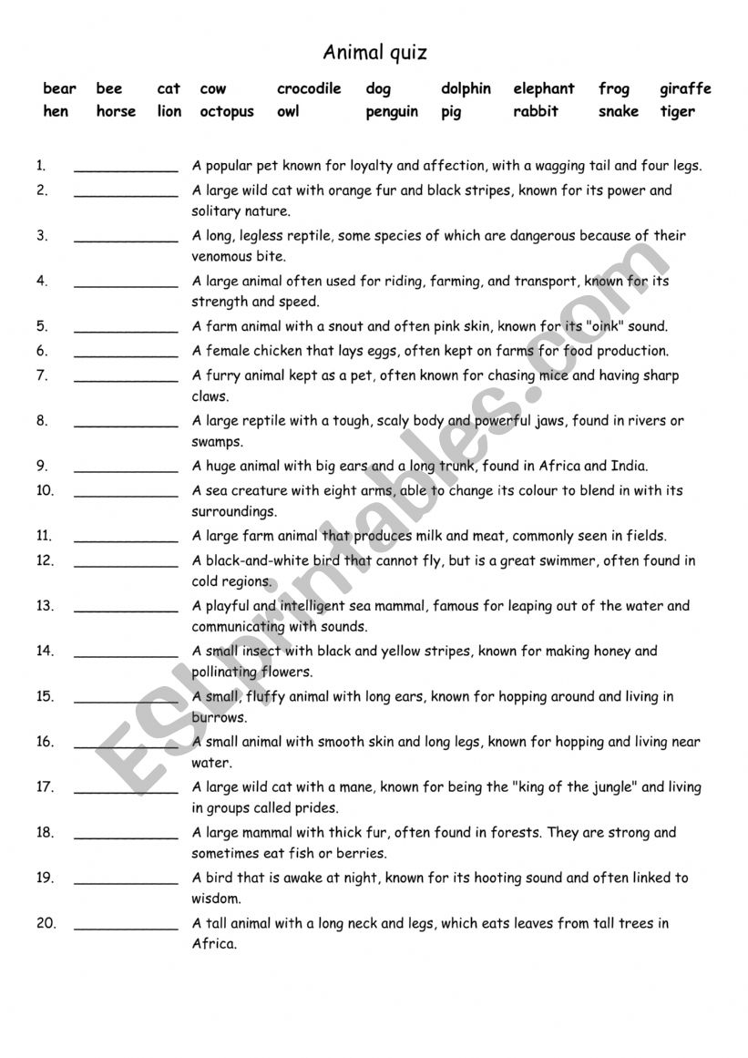 A1 Animal quiz worksheet