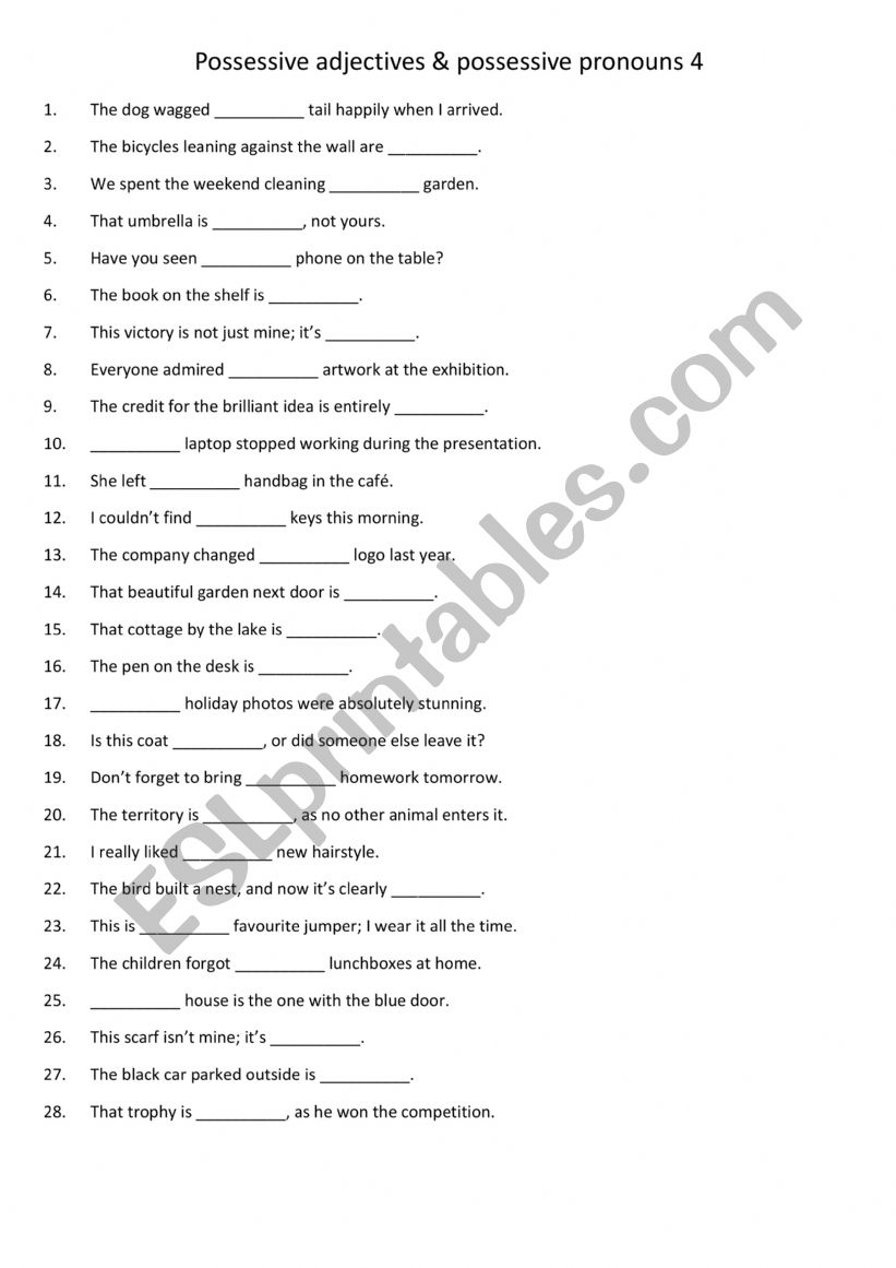 Possessive adjectives & possessive pronouns 4