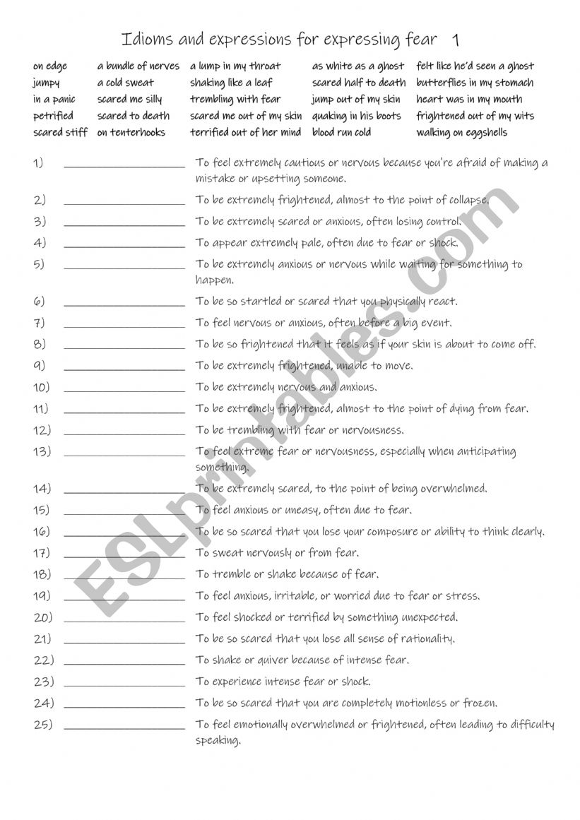 B2-C1 Idioms and expressions for expressing fear   1