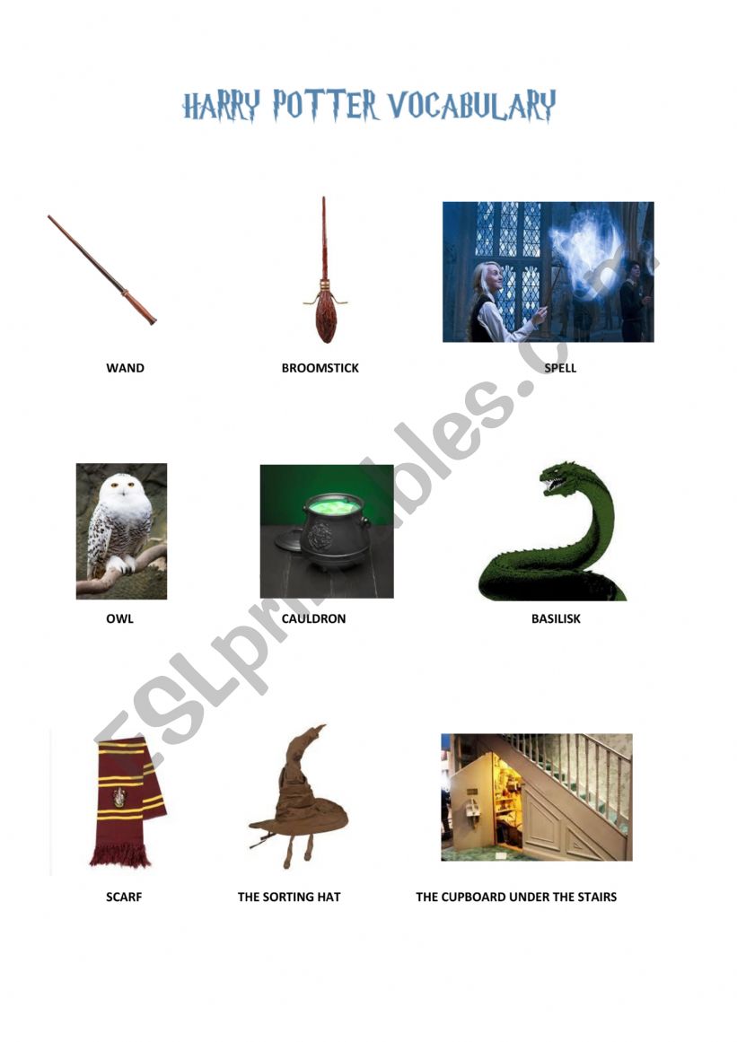 HARRY POTTER VOCABULARY worksheet