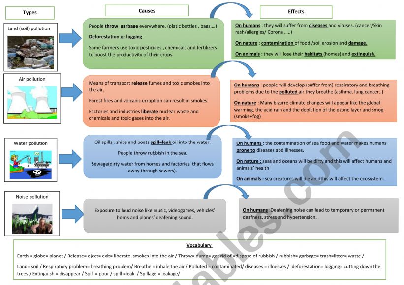 Pollution the causes and the effects 